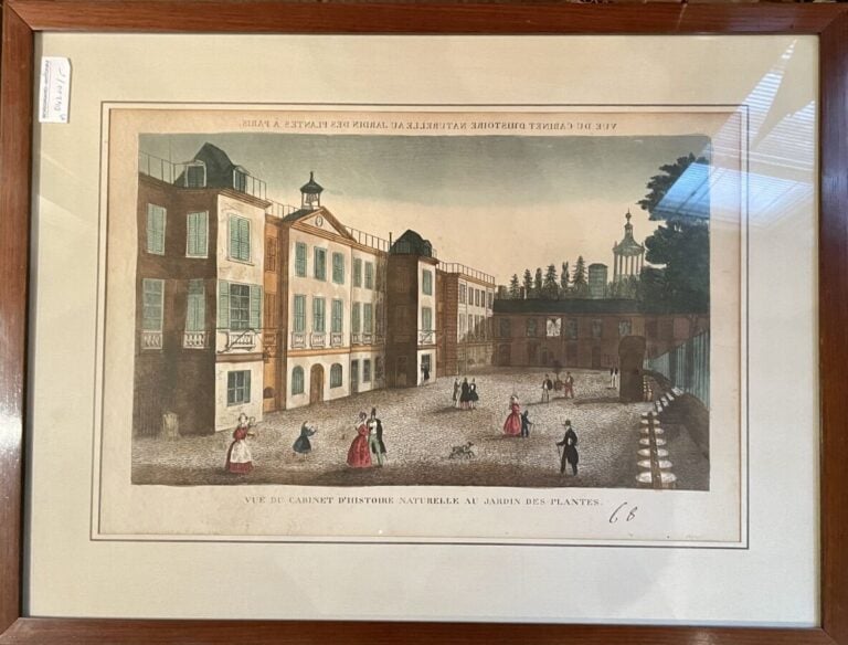 3 gravures paysages (Jardin des plantes 29x 43 cm, Montagne 27 x 29 cm) dont un…
