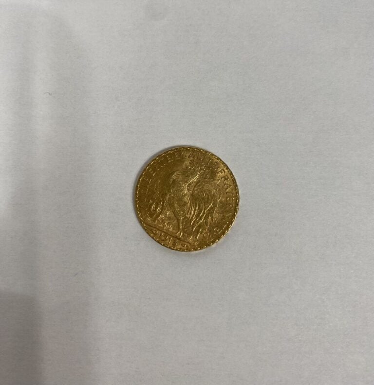 Pièce de 20 francs or 1913 - Poids : 6.4 g