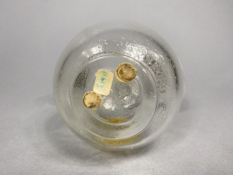 LALIQUE France - Flacon à parfum modèle "Anémones" en verre moulé - Signé - H :…