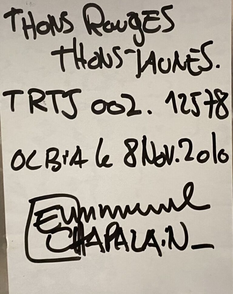 Emmanuel CHAPALAIN (1965) - Thons rouges, thons jaunes - Acrylique sur plaque d…