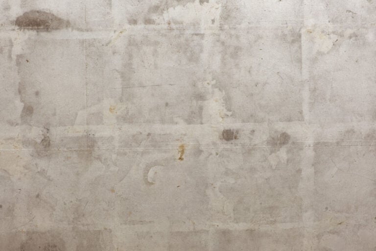 JAPON - début XIXème siècle - Paravent à 6 feuilles à décor sur papier à fond a…