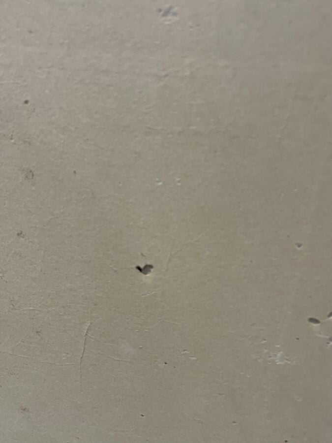 JAPON - XIXème siècle - Paravent Byobu à 6 feuilles, à décor sur papier de 6 oi…