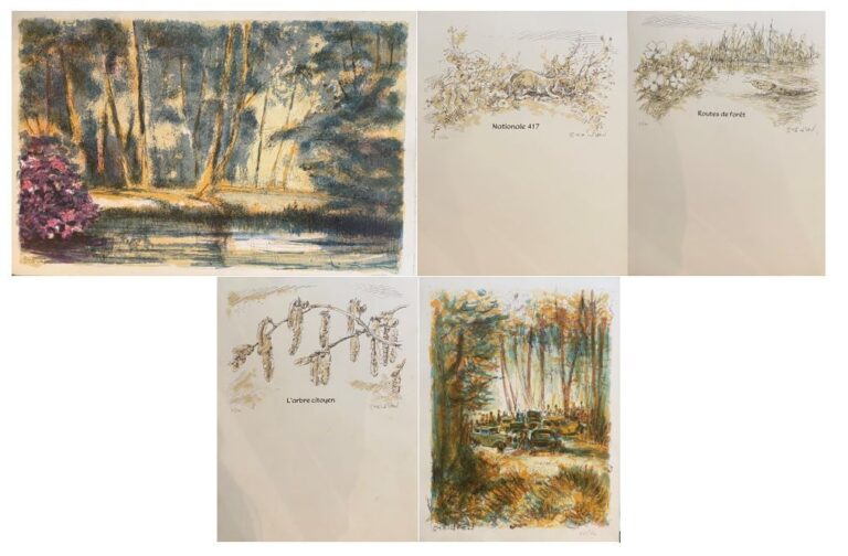 STEINLEN - Ensemble d'environ 15 lithographies comprenant : L'arbre citoyen, Fu…
