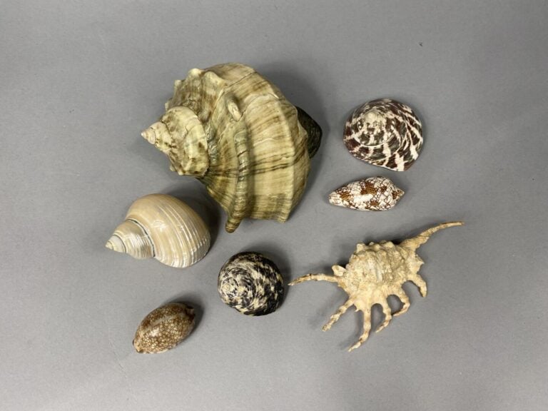 Petit lot de bibelots, souvenirs de voyage, objets de vitrine dont gong, cloche…