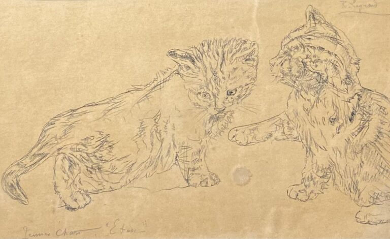 René LEGRAND (1847-1923) - Jeunes chats "Etude" - Fusain - Signé en haut à droi…