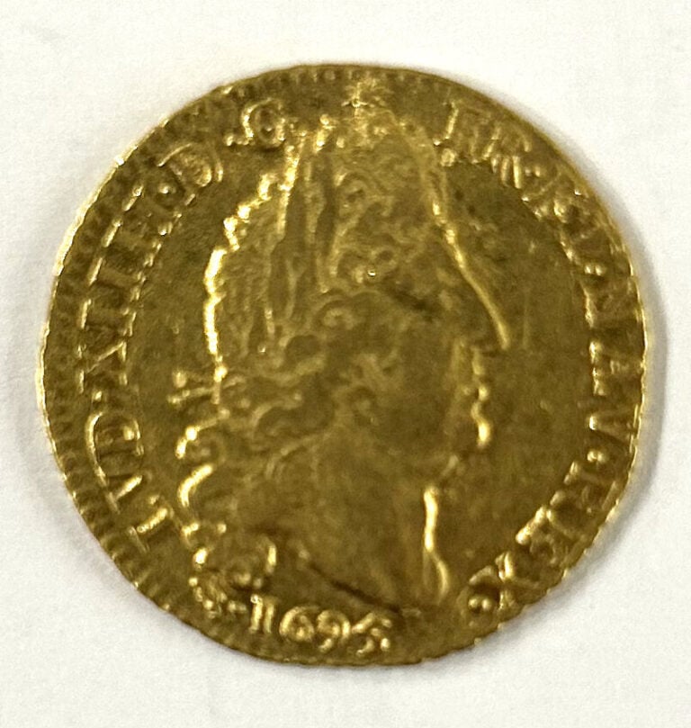 France - Louis XIV (1643-1715) - Louis d'or aux 4L 1695 D (Lyon) - A : Tête lau…