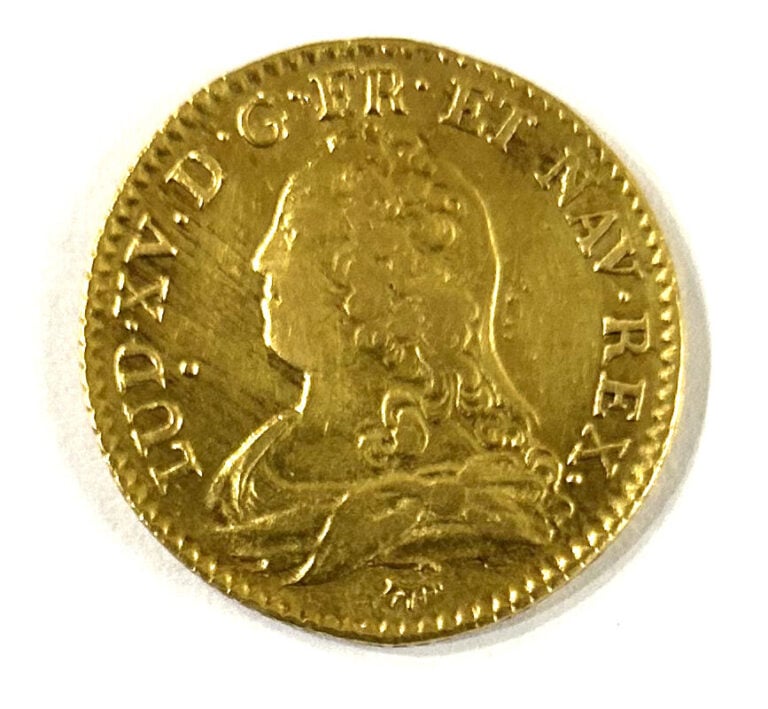 France - Louis XV (1715-1774) - Louis d'or aux lunettes 1729 A (Paris) - A : Bu…