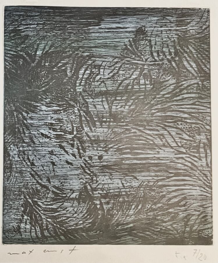 Max ERNST (1891-1976) - Feuilles éparses, pour un texte de René Crevel, 1965 (S…