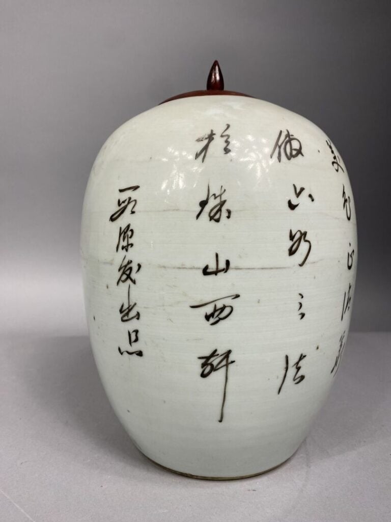 Chine - Pot à gingembre en porcelaine émaillée polychrome représentant des jeun…