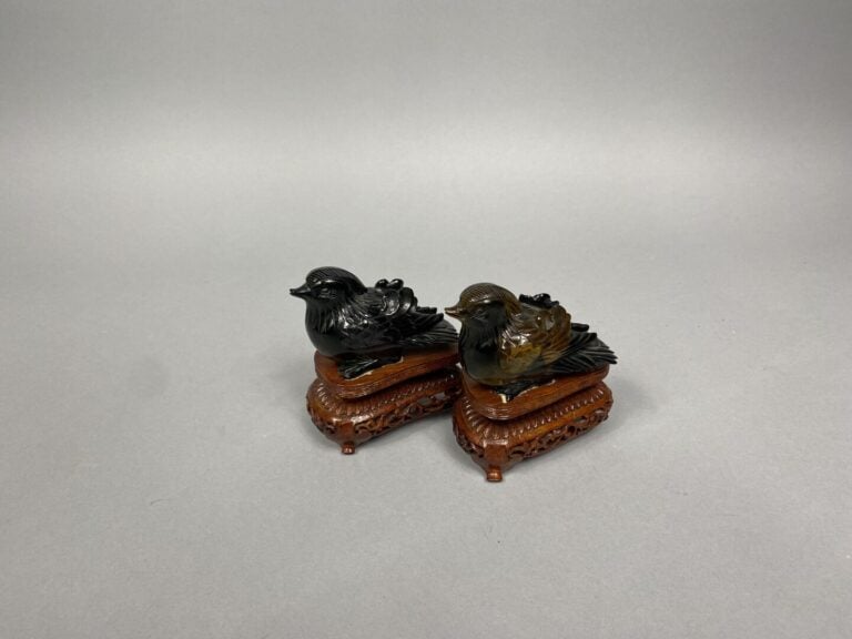 Paire de petits canards en oeil du tigre sculptée accompagnés de leur socle en…