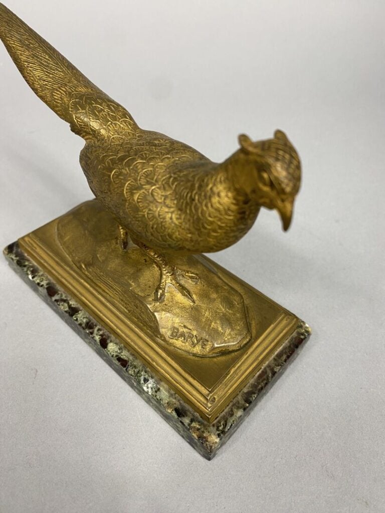 Antoine Louis BARYE (1795-1875), d'après - Faisan vénéré - Epreuve en bronze à…