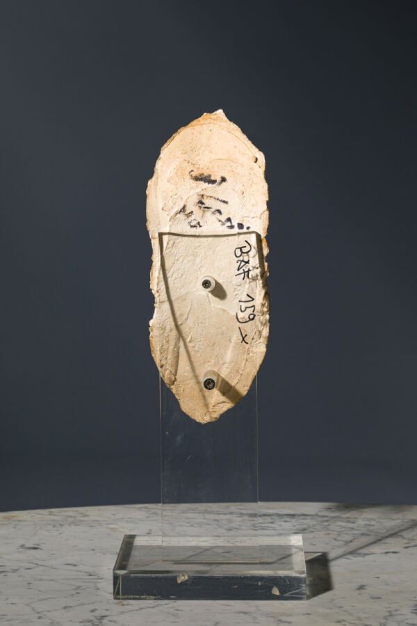 CÉSAR (1921-1998) CÉSAR BALDACCINI DIT - Autoportrait - Plâtre, trace d'annotat…