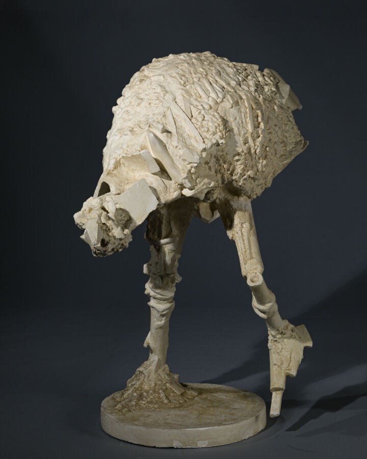 CÉSAR (1921-1998) CÉSAR BALDACCINI DIT - Poule Rosine, 1959 - Plâtre de travail…