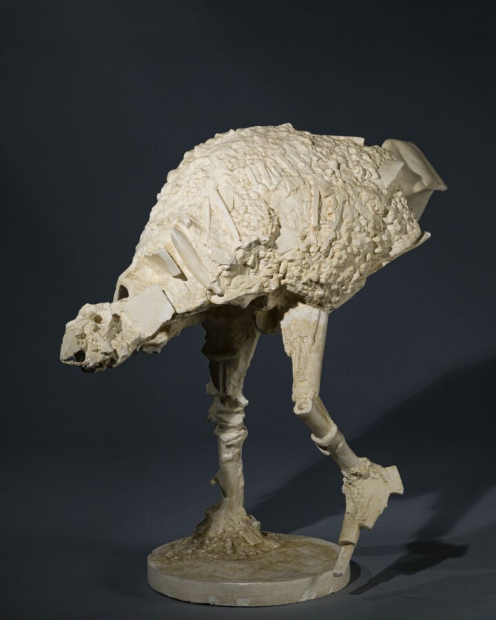 CÉSAR (1921-1998) CÉSAR BALDACCINI DIT - Poule Rosine, 1959 - Plâtre de travail…
