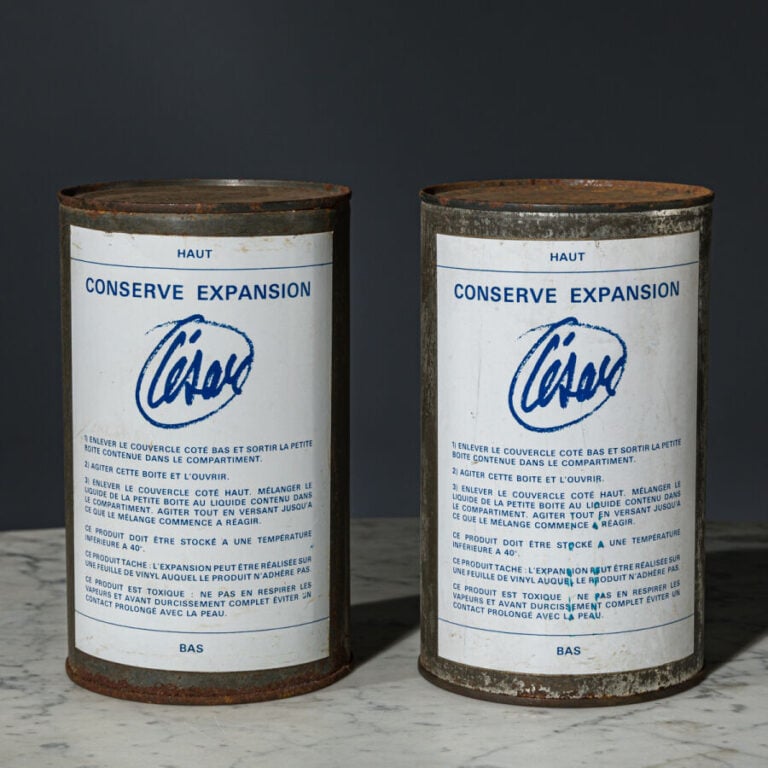 CÉSAR (1921-1998) - MARTIAL RAYSSE (1936-) - Conserve - Expansion, 1969 - 2 boi…