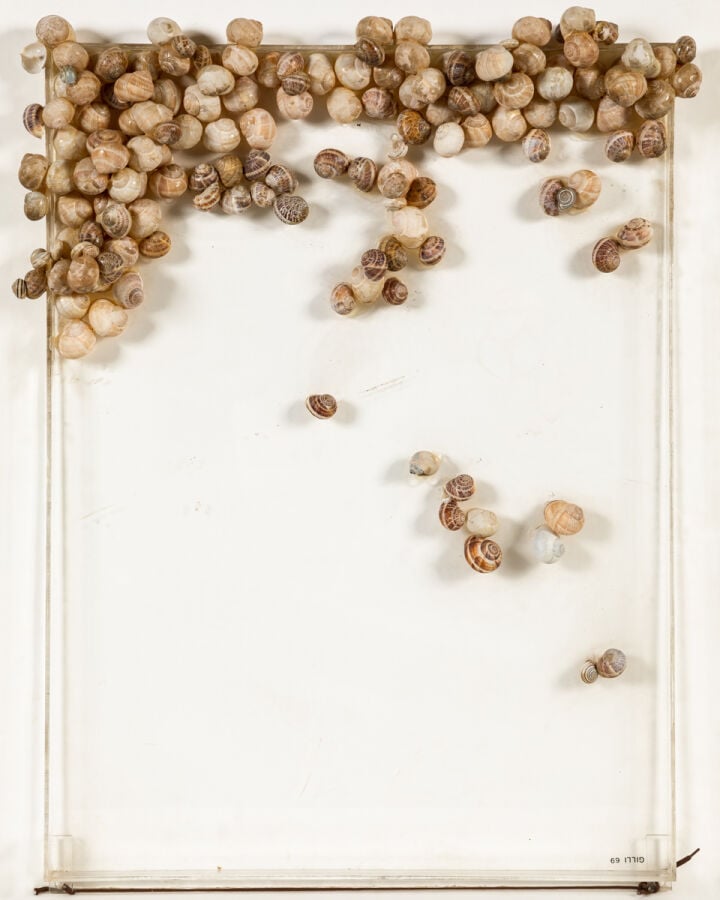CLAUDE GILLI (1938-2015) - Escargots, 1969 - Accumulation d'escargots collés su…