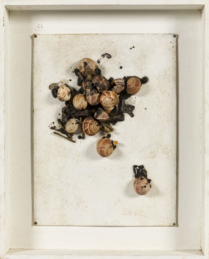CLAUDE GILLI (1938-2015) - Nature morte, 1970 - Accumulation d'escargots, d'all…