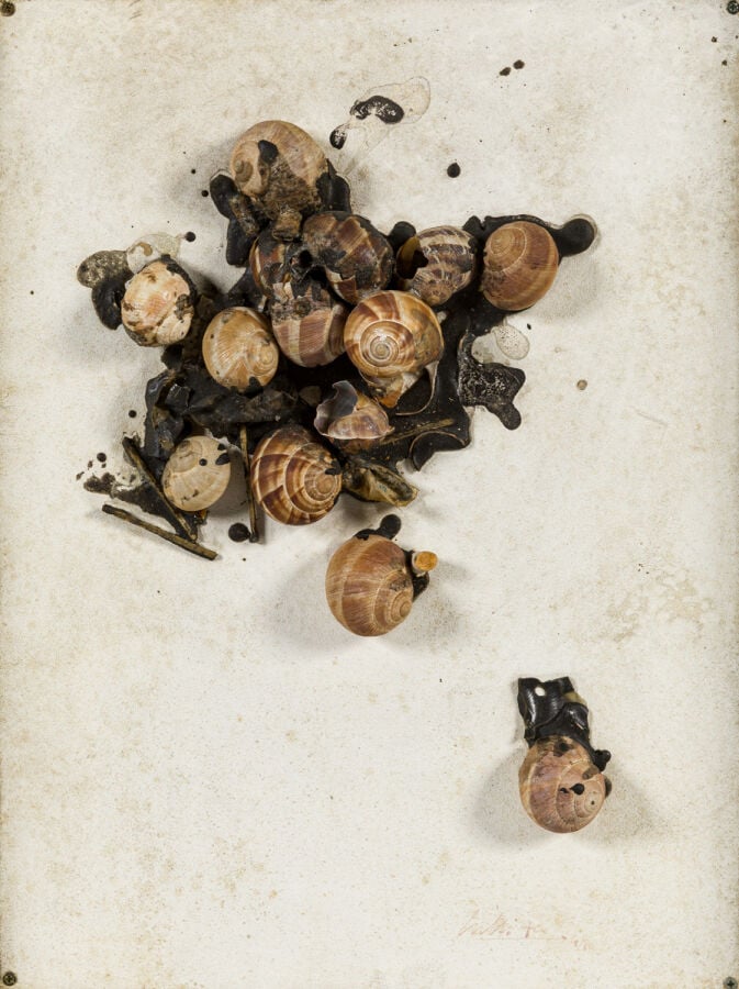 CLAUDE GILLI (1938-2015) - Nature morte, 1970 - Accumulation d'escargots, d'all…
