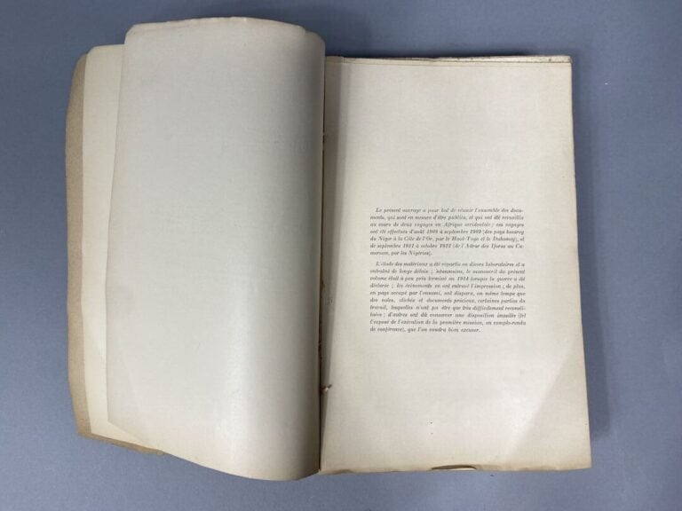 de GIRONCOURT : - Missions de Gironcourt en Afrique occidentale, 1908/1909 - 19…