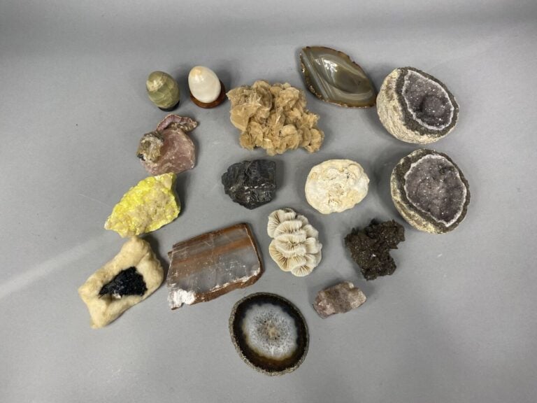 Lot d'objets de vitrine, minéraux, oeufs en pierre dure, sujet en biscuit, bibe…