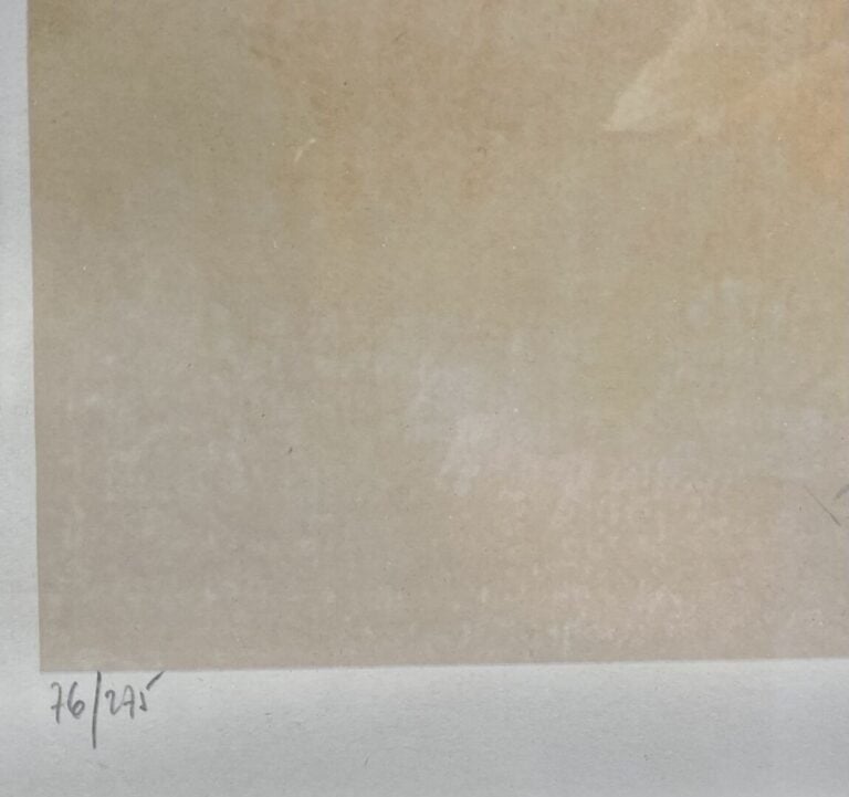 Leonor FINI - "Orlanda" - Lithographie - Signé en bas à droite et numéroté 76/2…