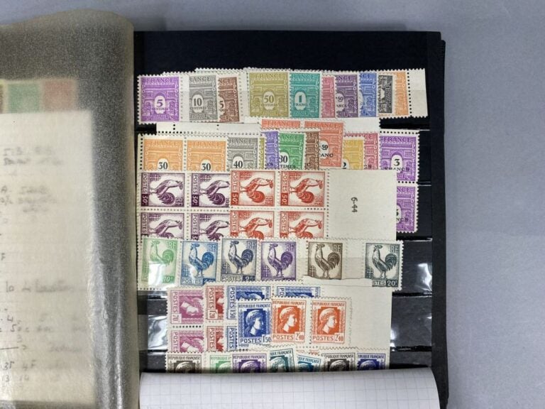 Lot de timbres divers présentés dans deux classeurs comprenant des timbres fran…
