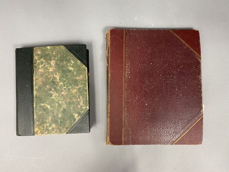 Lot de timbres divers présentés dans deux classeurs comprenant des timbres fran…