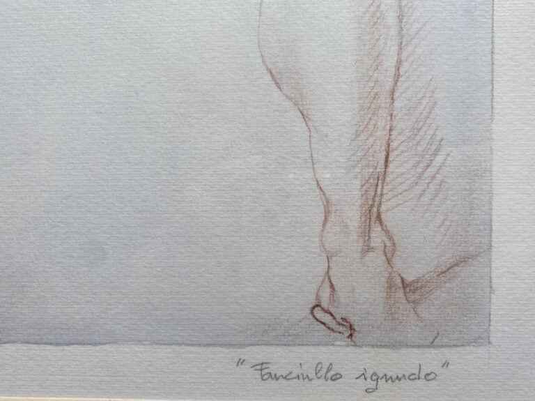 Etude d'homme nu - Pièce encadrée - Inscription au crayon - 46 x 30 cm