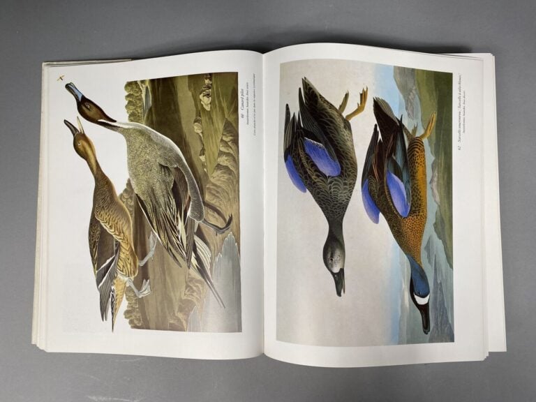 J.-J. AUDUBON - Le grand livre des oiseaux - Préface de Jean Dorst - Citadelles…
