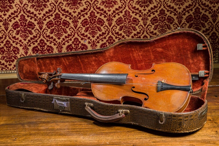 Violon et son archet