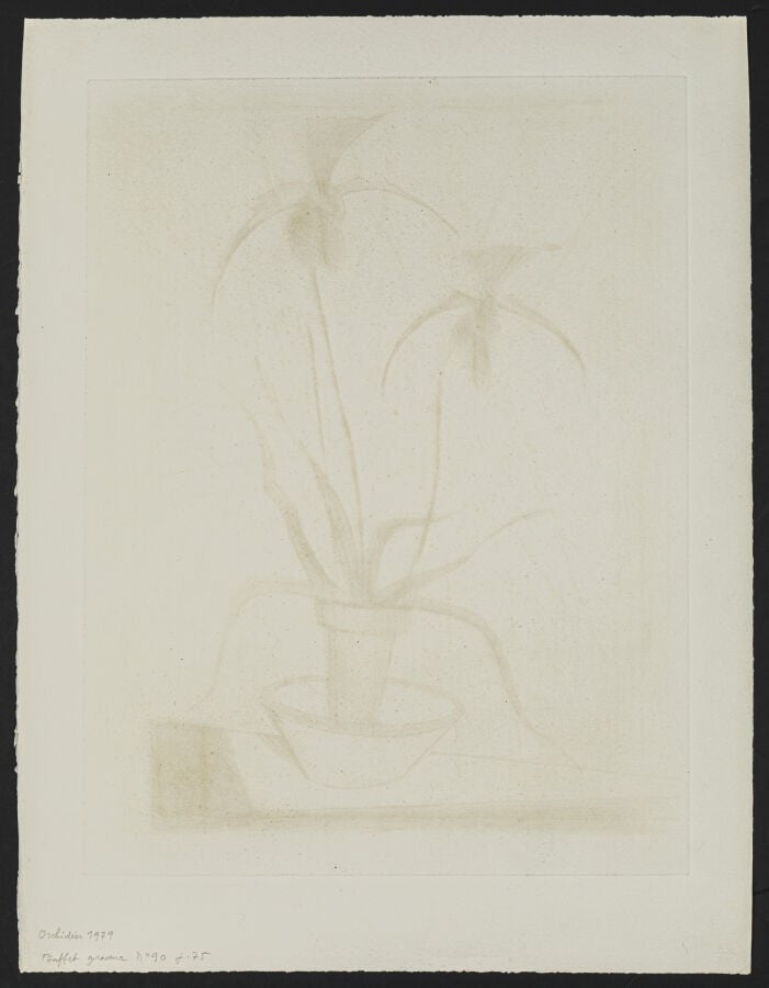 Bernard BUFFET (1928-1999) - Orchidée, 1979 - Pointe sèche en couleurs sur Moul…