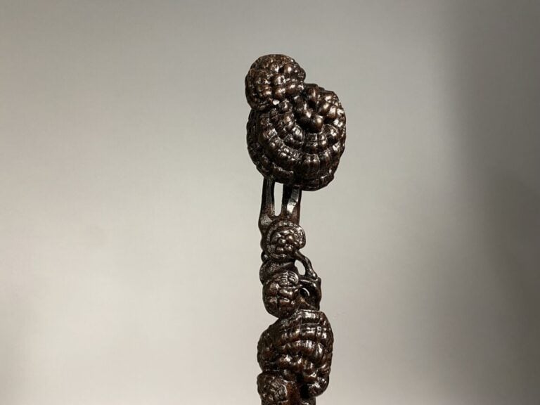 Chine - Sceptre en bois noueux sculpté représentant des champignons stylisés -…