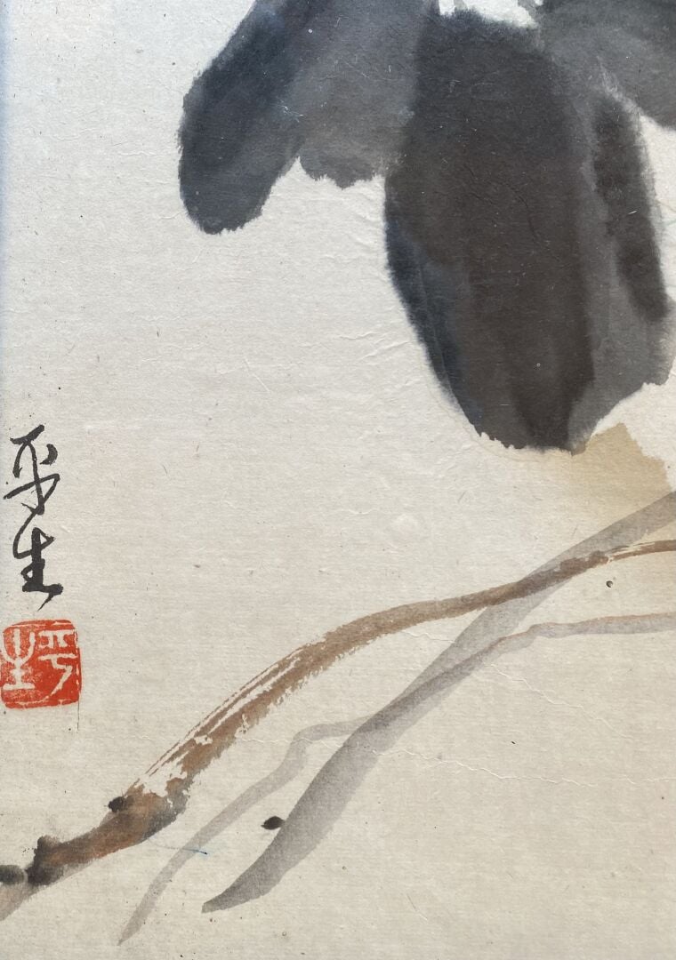 Ecole chinoise - Branchages fleuris, papillon et sauterelle - Encre sur papier…