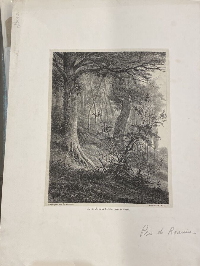 Ensemble d'environ 73 planches par Louis emile Noirot et divers - on joint : un…