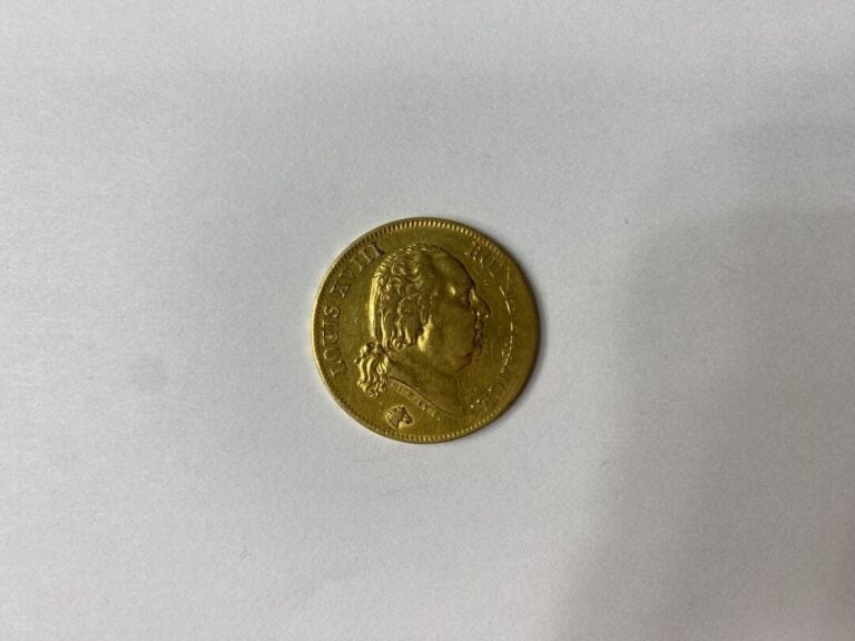 FRANCE - Pièce de 40 francs en or, Louis XVIII, 1818 (W) - Poids : 12.8 g