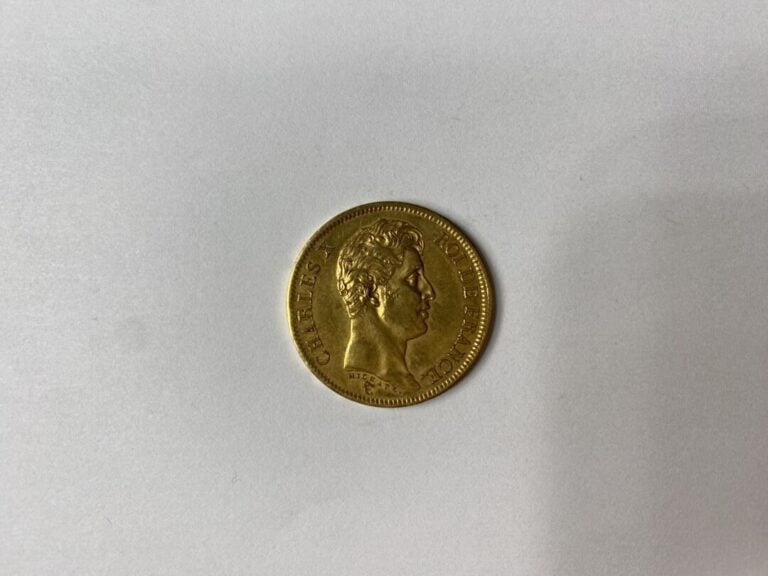 FRANCE - Pièce de 40 francs or, Charles X, 1824 (A) - Poids : 12.9 g