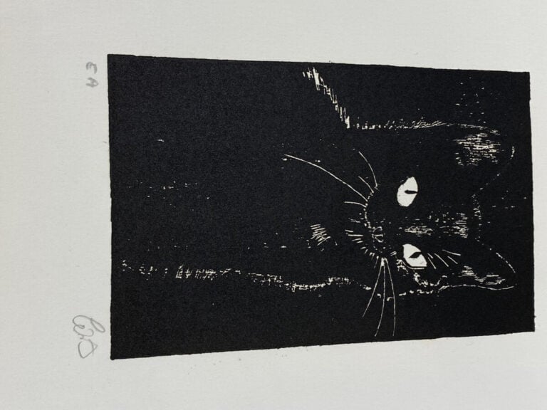 Leopold Durangel - Etienne Mein (2) - Jean Philippe Castiglia (14 planches ) -…