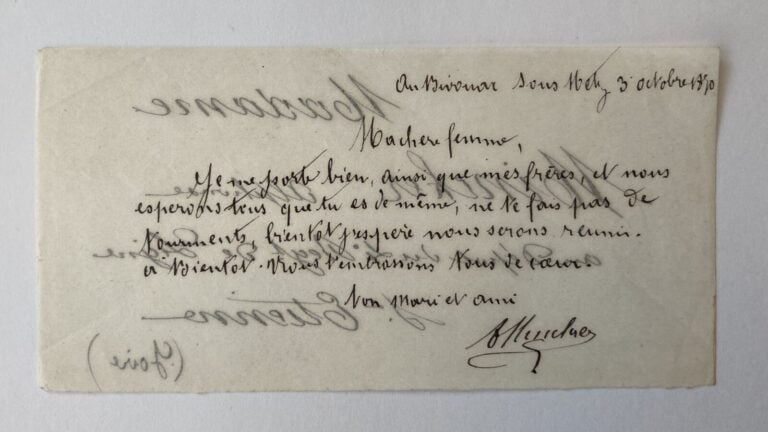 Papillon de Metz provenance vente de prestige Acturial