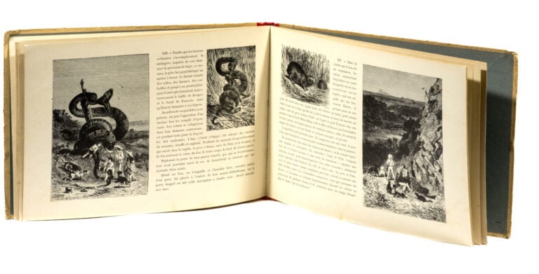Premières lectures de l'enfance / Le Robinson suisse / Bibliothèque de Mlle Lil…