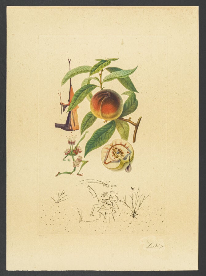 Salvador DALI (1904-1989) - Flordali, Pécher Pénitent, 1969-1970 - Lithographie…
