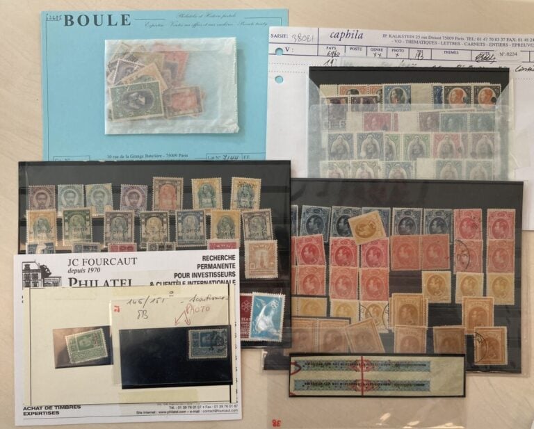 Un lot de timbres du Siam neufs et oblitérés présentés sur plaquettes de ventes…