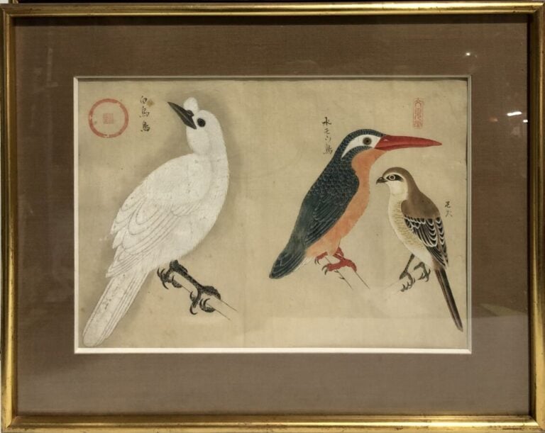 École chinoise - Deux études d'oiseaux - Encre, gouache et aquarelle sur papier…