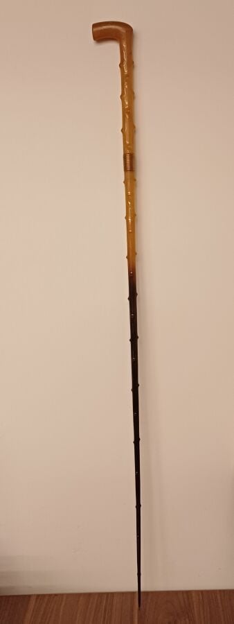 ANTOINE. PLAIS ROYAL - Canne en résine à motif épineux. - Longueur : 74 cm - -…