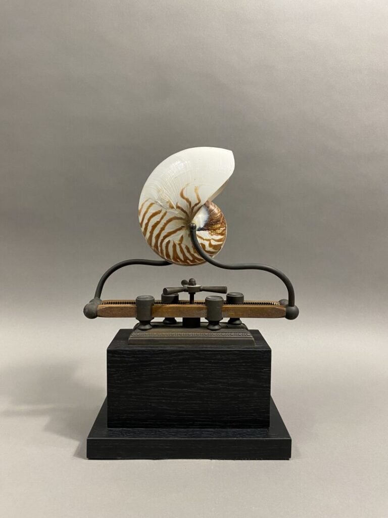 Objet de curiosité figurant un nautile fixé sur un socle en métal. Le mécanisme…