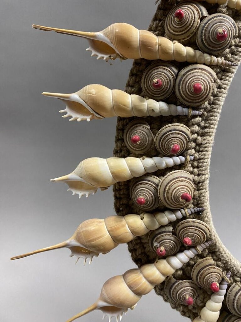 Océanie, Papou - Collier décoratif en cordage composé de Tibia fusus, escargots…