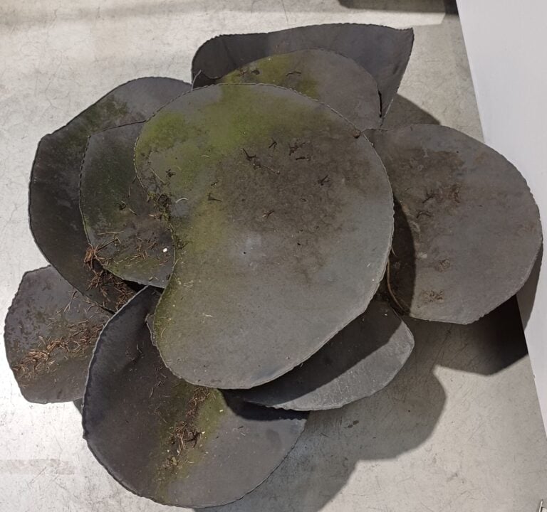 TABLE BASSE de jardin en métal patiné gris en forme de feuilles de nénuphar - H…
