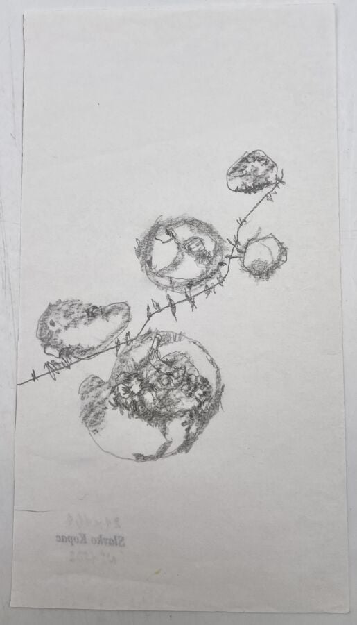 SLAVKO KOPAČ (1913-1995) - Têtes de chevaux, ensemble de stylos bille, crayon s…