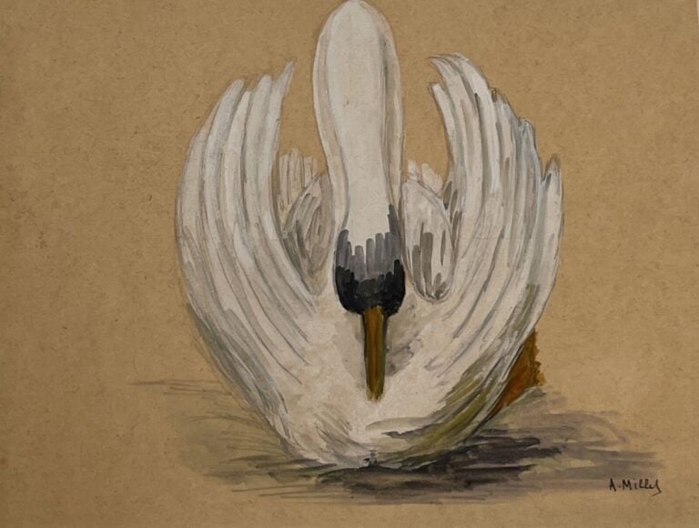 Album contenant un projet de conte illustré d'environ 30 aquarelles - - Lot à r…