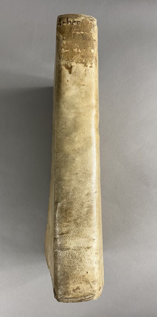 Athenaei Naucratitae (Athénée de Naucratis) : - luculentissimi elegantissimique…