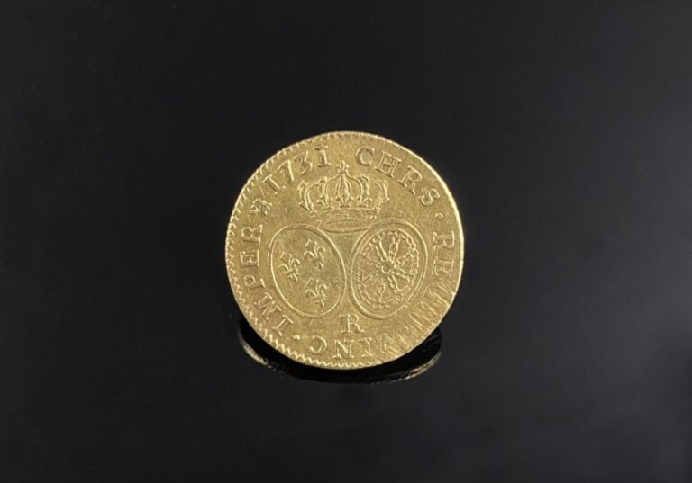 France - Louis XV (1715-1774) - Louis 1731 R (Orléans) - A : Buste à gauche de…